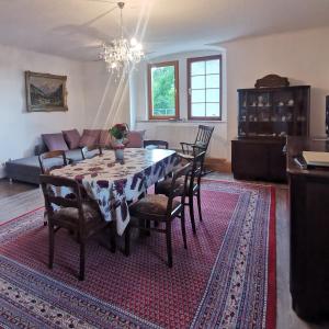 - une table à manger et des chaises dans le salon dans l'établissement Ruhige Ferienwohnung im Gutshaus, à Niederorschel