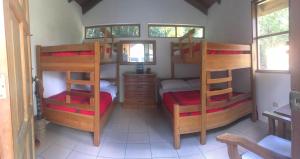 a room with two bunk beds and a desk at Parque Natural Ixpanpajul in Santa Elena +28 photos