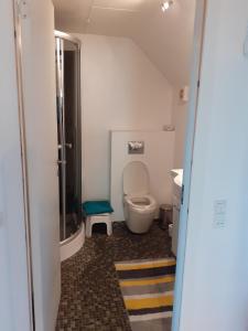 ein Bad mit einem WC und einem Waschbecken in der Unterkunft Olsens Hygge 