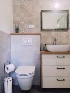 a bathroom with a white toilet and a sink at Apartman Aria in Dugi Rat +14 photos