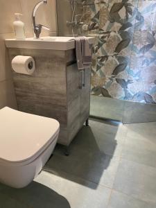 a bathroom with a toilet and a sink and a shower at Charieta n.8 in Áno Korakiána +21 photos