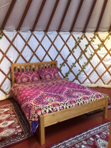 a bed in a yurt with pillows on it at The Yurts at Burnt House Farm in Newport