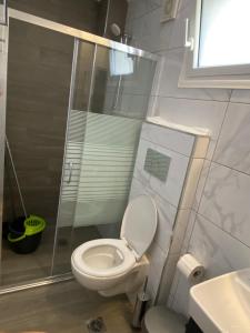 Koupelna v ubytování Vila Savic