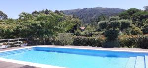 uma piscina num jardim com uma montanha ao fundo em Casa de Santa Luzia A em Vila Praia de Âncora