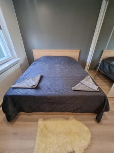 sypialnia z łóżkiem z niebieską kołdrą i dywanem w obiekcie Stylish 2Room apartment in beautiful place, Free parking w mieście Oulu