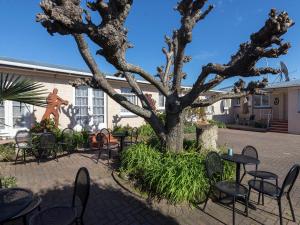 un patio con mesas, sillas y un árbol en MALFROY Motor Lodge Rotorua, en Rotorua