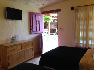 TV a/nebo společenská místnost v ubytování Hotel Posada Primavera