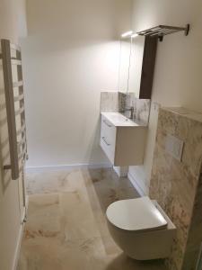 a bathroom with a toilet and a sink at Beach Lounge Luxory Apartments in Klaipėda