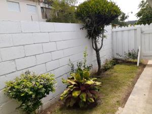 a white wall with a bunch of plants next to a fence at Apartamento Hogareño in Jarabacoa