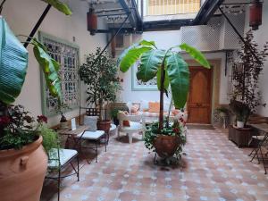 Casa Seven Jerez في خيريز دي لا فرونتيرا: غرفة معيشة مليئة بالكثير من النباتات الفخارية