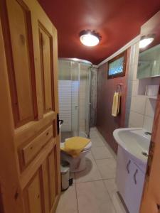 a bathroom with a toilet and a sink and a shower at Tiny House Ceviz Kayaköy Jungle Camping in Fethiye