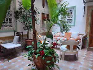 ヘレス・デ・ラ・フロンテーラにあるCasa Seven Jerezの植物のあるリビングルーム、ソファ、椅子