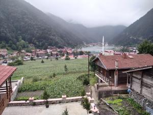 a village in a valley with a river and mountains at Uzungöl Sakin Pansiyon in Uzungöl