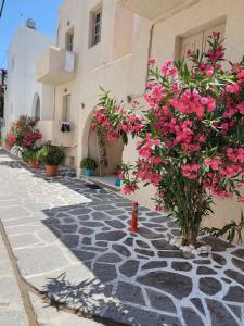 un edificio con fiori rosa sul lato di una strada di Studio Tsakas a Naxos Chora