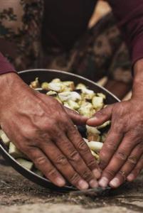 a pair of hands holding a pan of food at Dana Gate Lodge in Dana