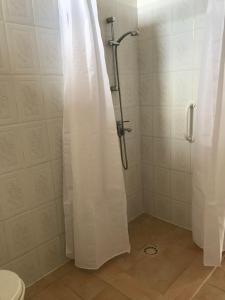 een douche met een douchegordijn in de badkamer bij O’gîtes des colombes in Colombiers