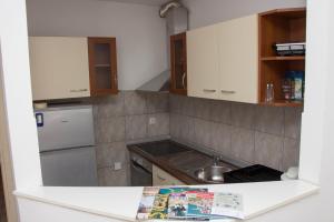 Kuchyňa alebo kuchynka v ubytovaní Apartment BUBA