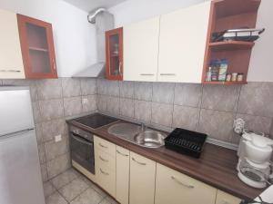 Kuchyňa alebo kuchynka v ubytovaní Apartment BUBA