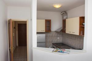 Kuchyňa alebo kuchynka v ubytovaní Apartment BUBA