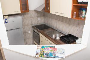 Kuchyňa alebo kuchynka v ubytovaní Apartment BUBA