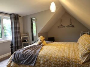 Gallery image of Cozy Nook in Spean Bridge