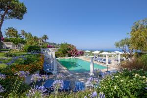 Bassein majutusasutuses Paradiso Terme Resort & SPA con 5 piscine termali või selle lähedal