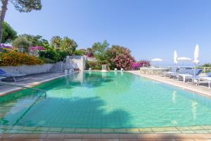 Bassein majutusasutuses Paradiso Terme Resort & SPA con 5 piscine termali või selle lähedal