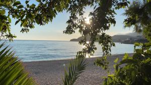 Φυσικό τοπίο κοντά σε αυτό το διαμέρισμα