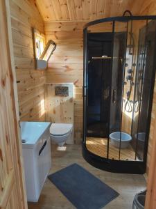 ein Bad mit einer Dusche und einem WC in der Unterkunft DOMKI POD DĘBEM in Grzybowo