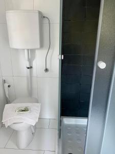a bathroom with a shower and a toilet and a sink at Maison Bric in Millesimo +10 photos