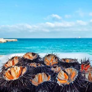 ein Teller mit Meeresfrüchten im Hintergrund in der Unterkunft Casa 100m dal mare caraibico in Lido Marini