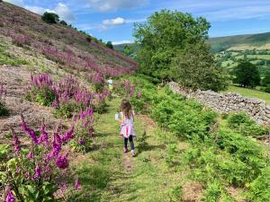 Afbeelding uit fotogalerij van Black Mountains Stylish Hideaway, nr Crickhowell in Llanbedr