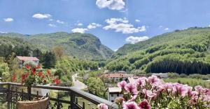Fotografie z fotogalerie ubytování Hotel Djokovic v destinaci Šavnik
