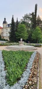 Vonkajšia záhrada v ubytovaní Villa Dagmar