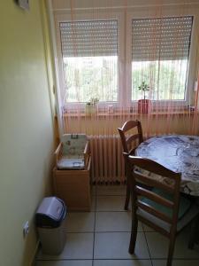 ein Schlafzimmer mit einem Tisch, einem Stuhl und zwei Fenstern in der Unterkunft Apartman Radaković in Subotica
