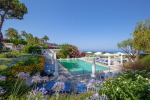 Bassein majutusasutuses Paradiso Terme Resort & SPA con 5 piscine termali või selle lähedal