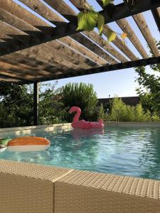 a swimming pool with a pink swan in the water at Apartments Zebra in Tivat