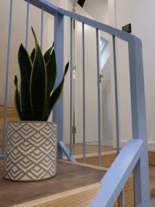 a plant in a vase sitting on a staircase at Lar Azul in Redondela