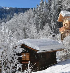 Chalet Les Soldanelles en invierno