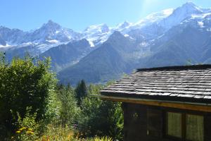 シャレーから撮影された、または一般的な山の景色