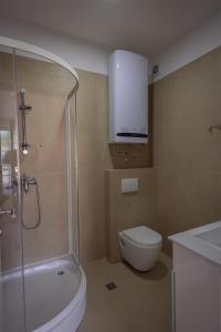 a bathroom with a shower and a toilet and a sink at Vertmont Villa in Sveti Stefan