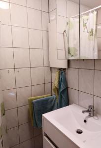 uma casa de banho com um lavatório e um espelho em Ferienhaus Elke em Kurort Altenberg