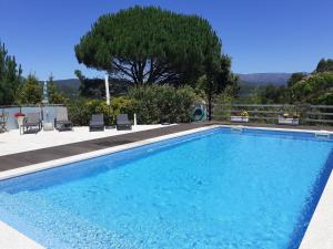 a large swimming pool with chairs and a tree at Casa de Santa Luzia B in Caminha