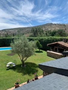 a garden with a table and a tree and a pool at Casa Rural LOS TINES in Bustarviejo