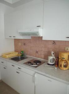 a kitchen with a sink and a counter top at Dragica in Palit