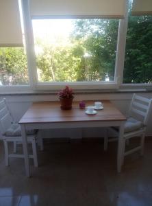 a table and chairs in a room with a window at Dragica in Palit
