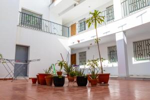 Zdjęcie z galerii obiektu Casa La Guía - Garaje w mieście Barbate