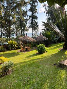 a lawn with umbrellas and a table and chairs at Maddy's Kitchen and Accomodation in Gisenyi