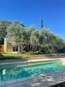 a swimming pool in front of a house with a tree at Gîtes en B&B Le Clos de la Cerise in Châteauneuf-du-Pape