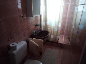 a bathroom with a sink and a toilet and a shower at Dragica 2 in Palit